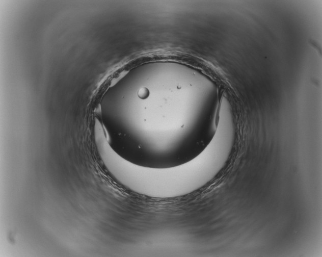 X0000099951160200806131441