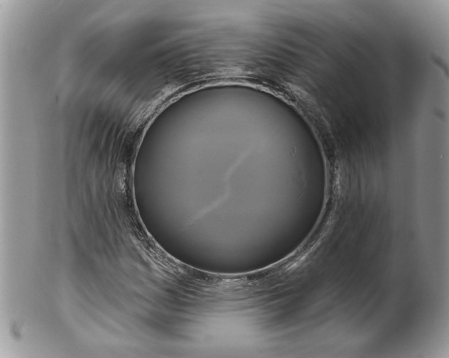 X0000099951161200806131441