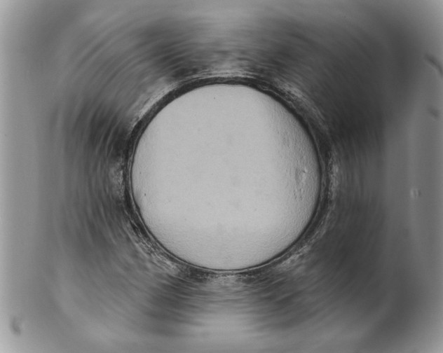 X0000099951162200806131441