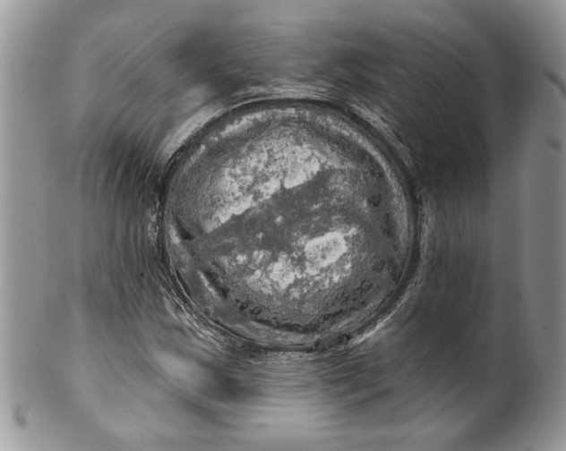 X0000099951163200806131441