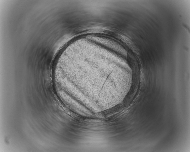 X0000099951164200806131441