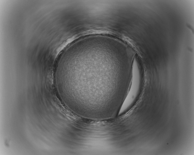 X0000099951165200806131441