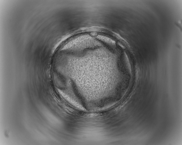 X0000099951166200806131441