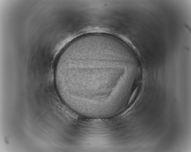 X0000099951167200806131441