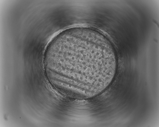 X0000099951168200806131441