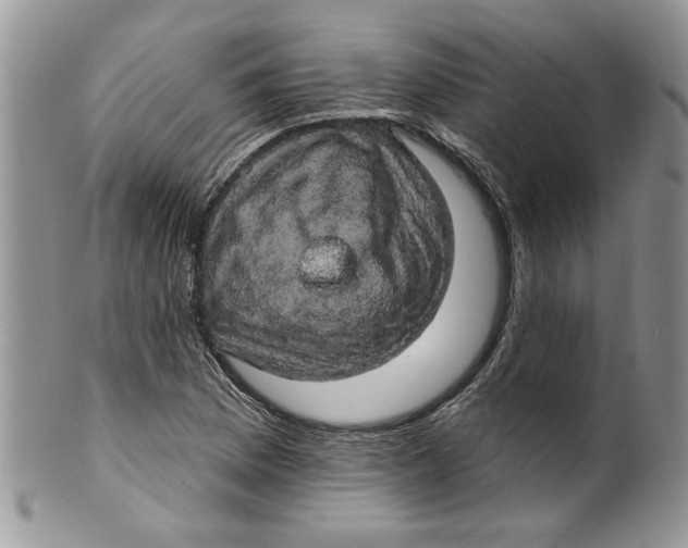 X0000099951169200806131441