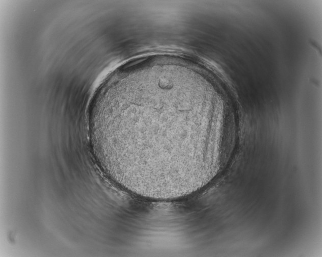 X0000099951172200806131441