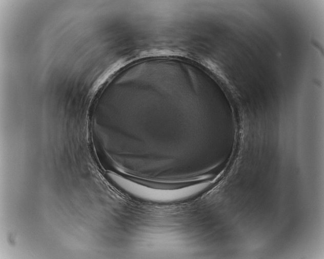 X0000099951173200806131441