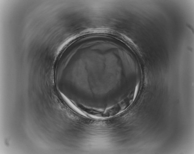 X0000099951174200806131441