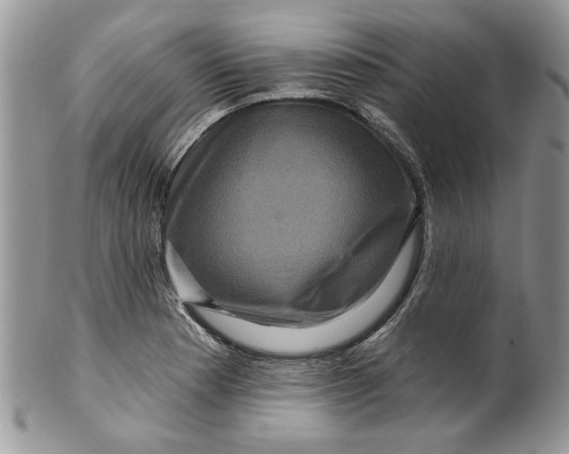 X0000099951177200806131441