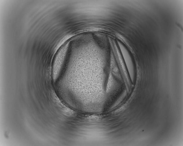 X0000099951178200806131441