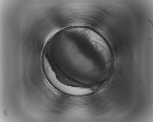 X0000099951179200806131441