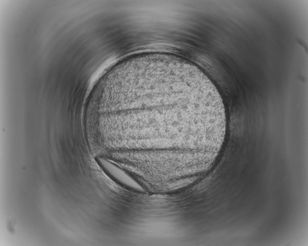 X0000099951180200806131441