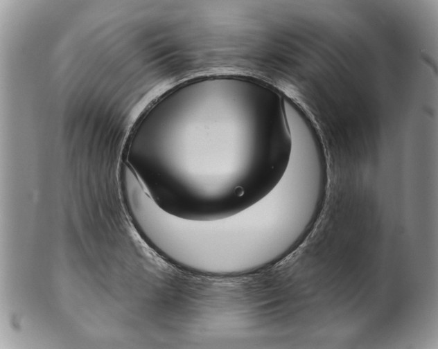 X0000099951181200806131441