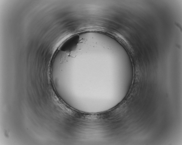 X0000099951182200806131441