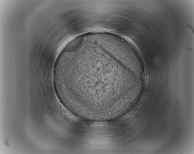 X0000099951183200806131441