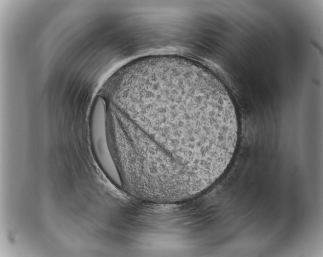 X0000099951184200806131441