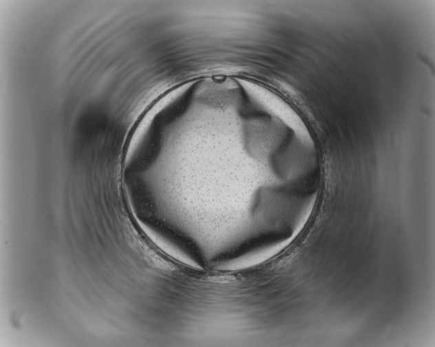 X0000099951186200806131441