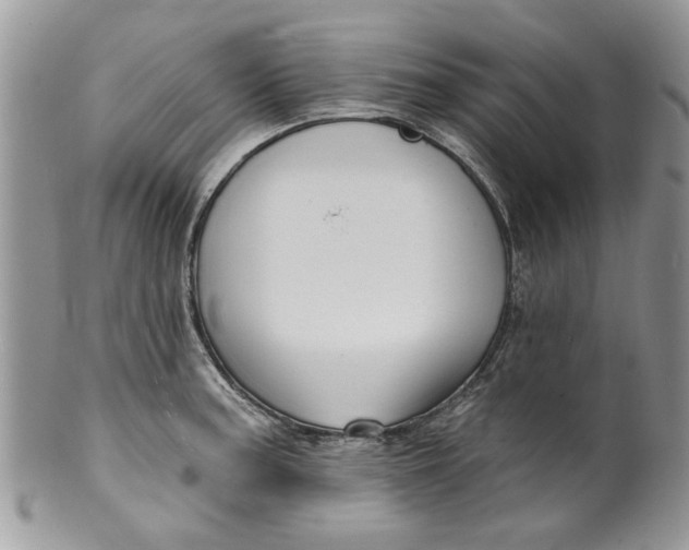 X0000099951187200806131441