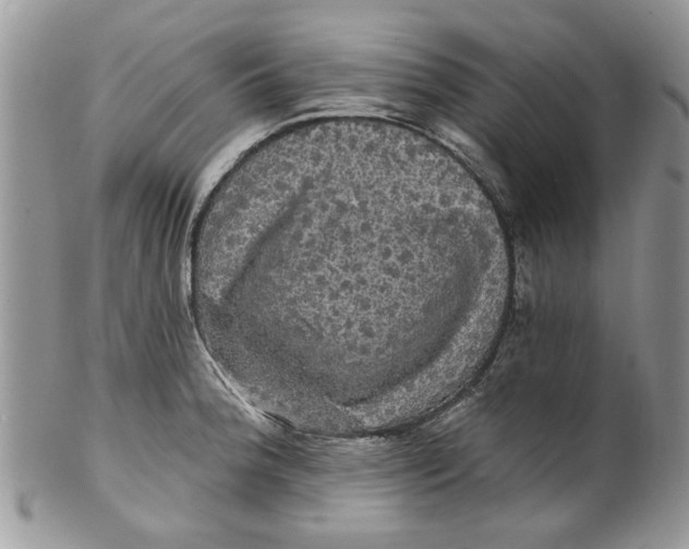 X0000099951188200806131441