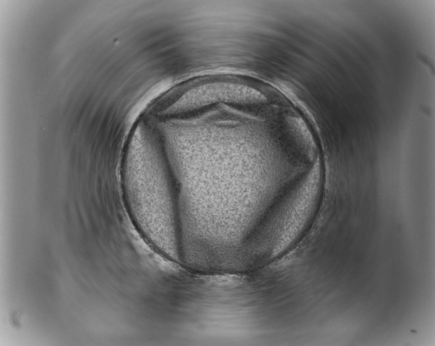 X0000099951189200806131441