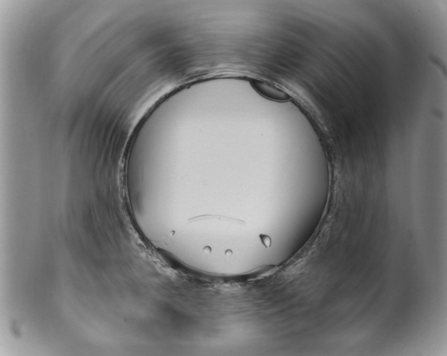 X0000099951190200806131441