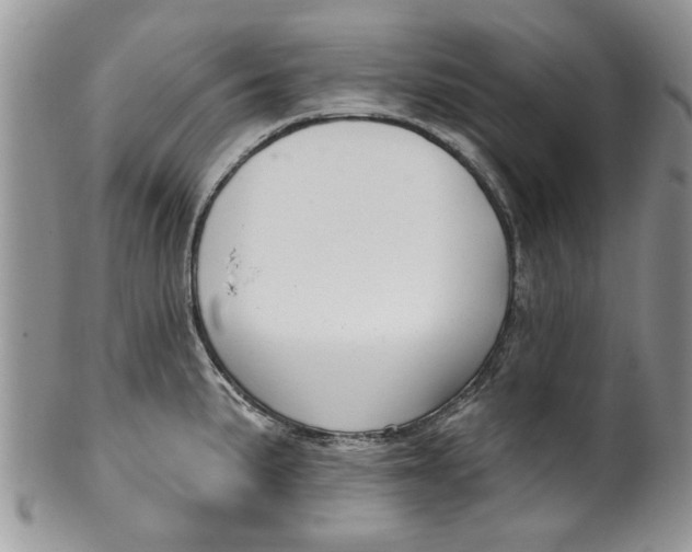 X0000099951191200806131441