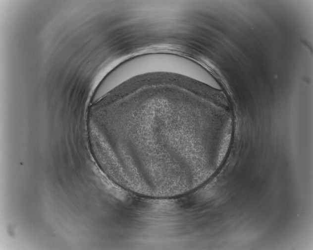 X0000099951192200806131441