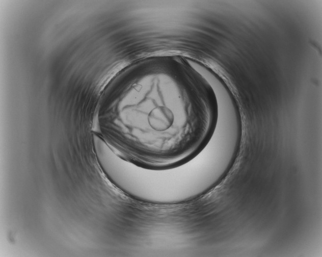 X0000099951193200806131440