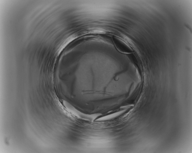 X0000099951194200806131440