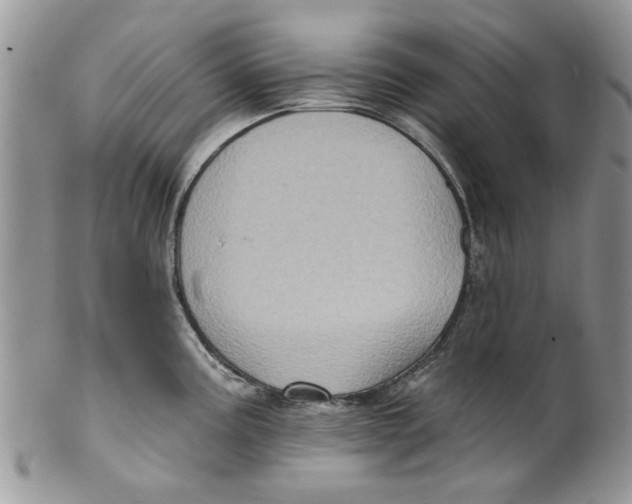 X0000099951195200806131440