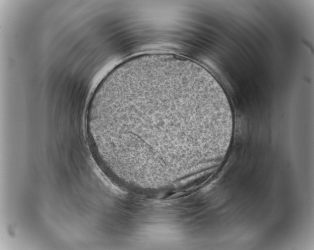 X0000099951196200806131440