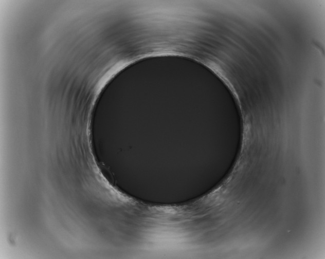 X0000099951197200806131440