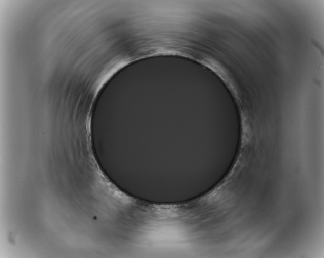 X0000099951198200806131440