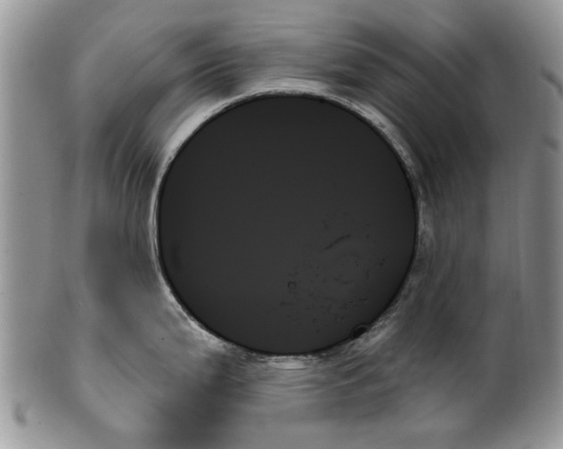 X0000099951199200806131440