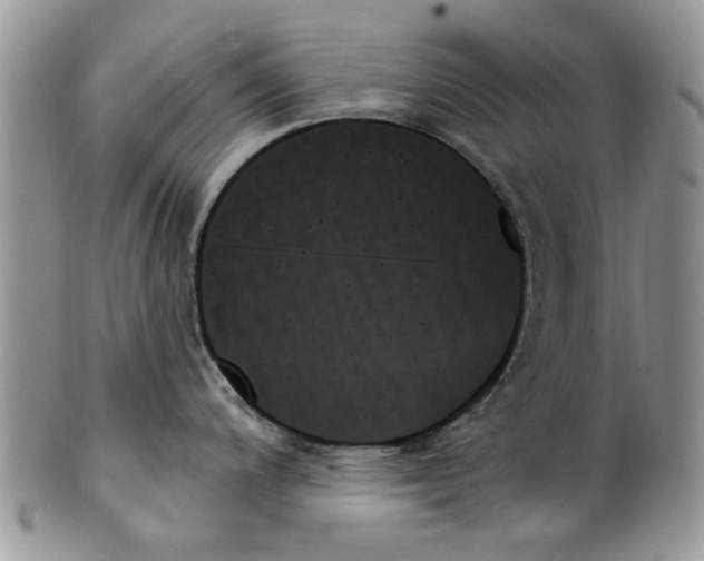 X0000099951200200806131440