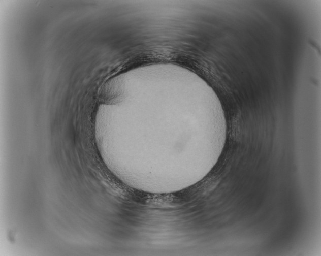 X0000099951201200806131440