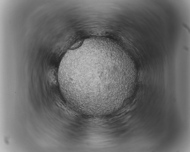 X0000099951202200806131440