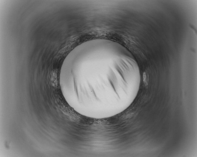 X0000099951203200806131440