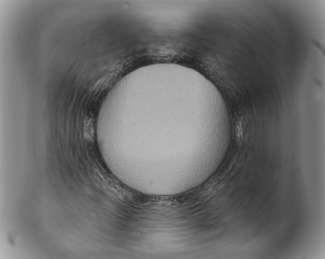 X0000099951204200806131440