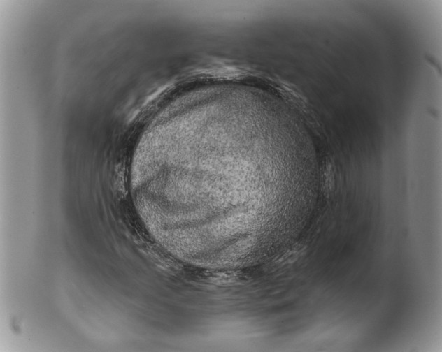 X0000099951205200806131440