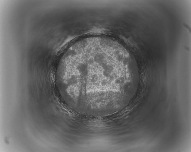 X0000099951206200806131440