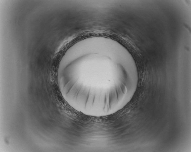 X0000099951207200806131440