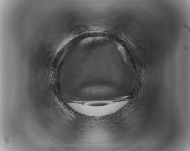 X0000099951208200806131440