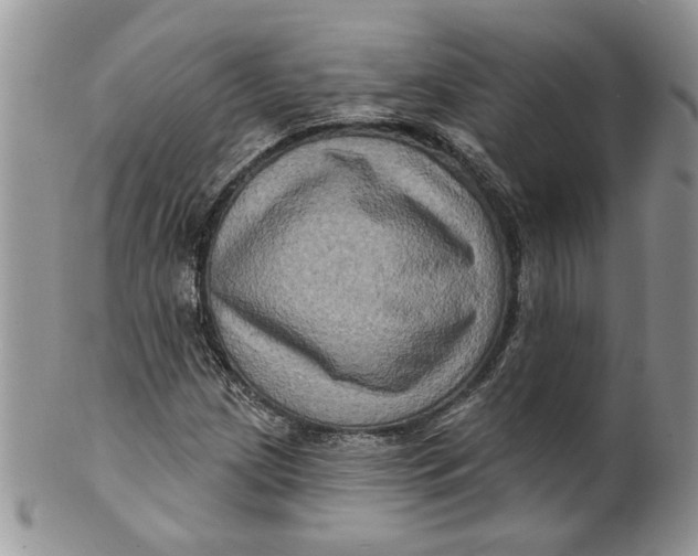 X0000099951209200806131440