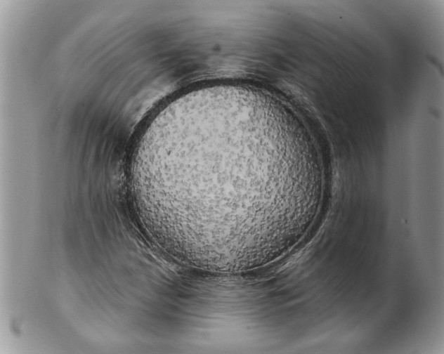 X0000099951210200806131440