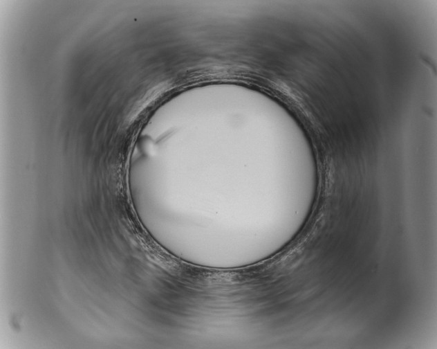 X0000099951211200806131440