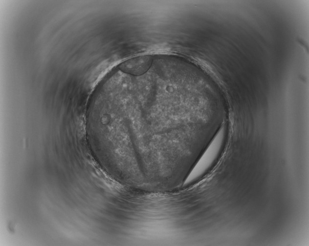 X0000099951212200806131440