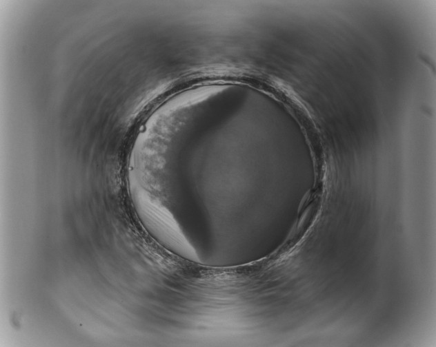 X0000099951213200806131440