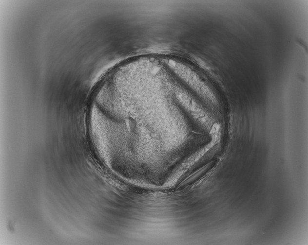 X0000099951214200806131440